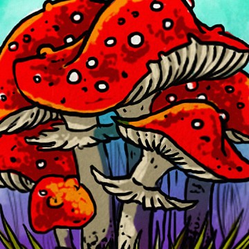 Fly Agaric Mushrooms print