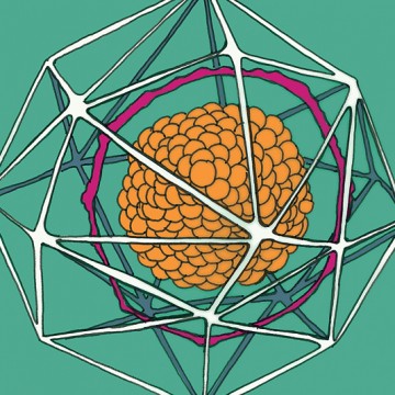 Radiolaria Green print