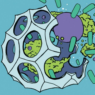 Radiolaria Cyan print