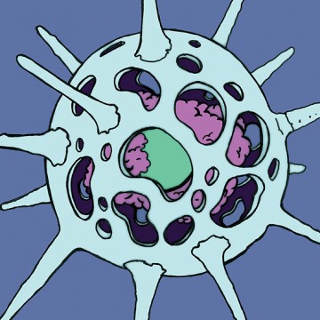 Radiolaria Blue print