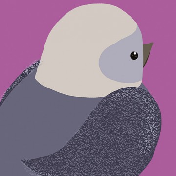 Bird (Grey Purple)