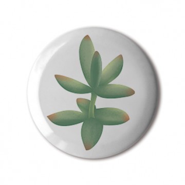 Gift Box: 4 button badges (Succulents)