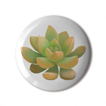 Gift Box: 4 button badges (Succulents)