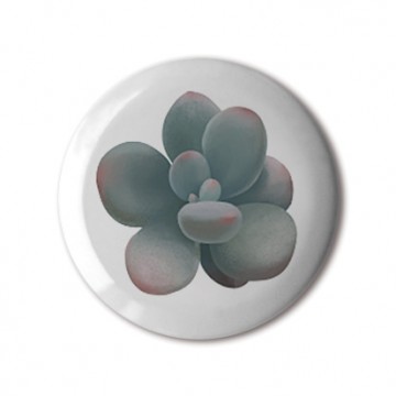Gift Box: 4 button badges (Succulents)