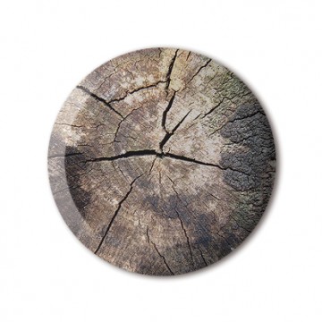 Gift Box: 4 button badges (Tree Stumps)