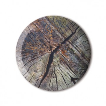 Gift Box: 4 button badges (Tree Stumps)