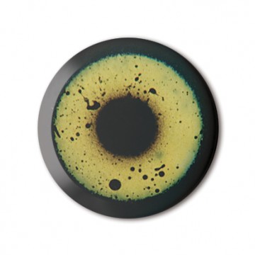 Gift Box: 4 button badges, 2 each (Bird Eyes)