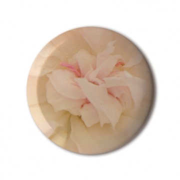 Gift Box: 4 button badges (Flowers)