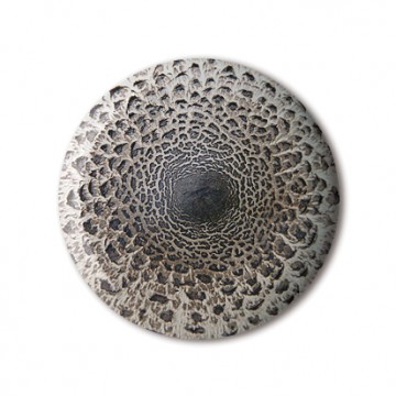 Gift Box: 4 button badges (Parasol Mushrooms)